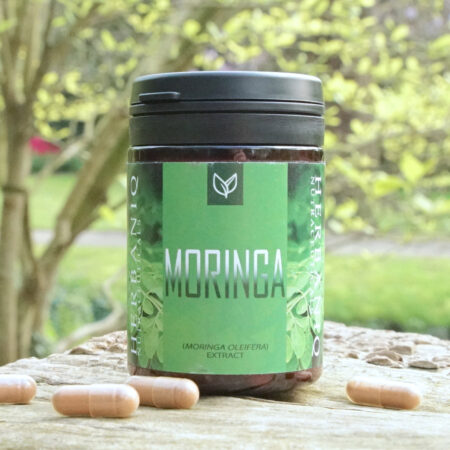 moringa extrakt